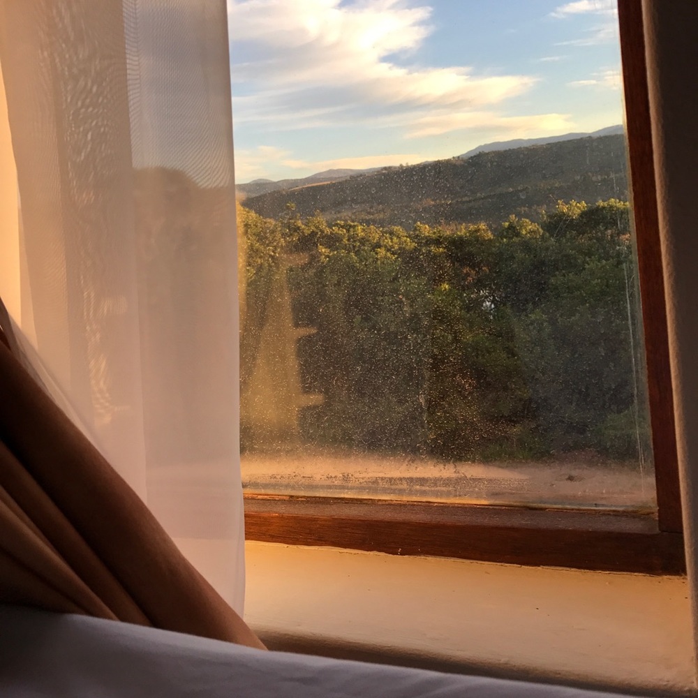 Meet your Posher, Caroline